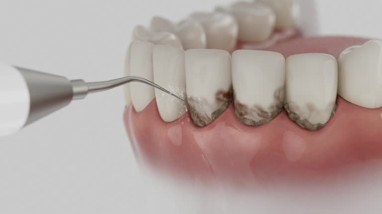 Reliable Dental contractor in Metamora, IL by Dentist Open Now